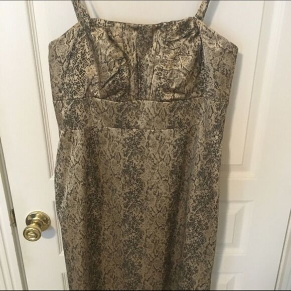 Antonio Melani Dress  - Picture 2 of 4